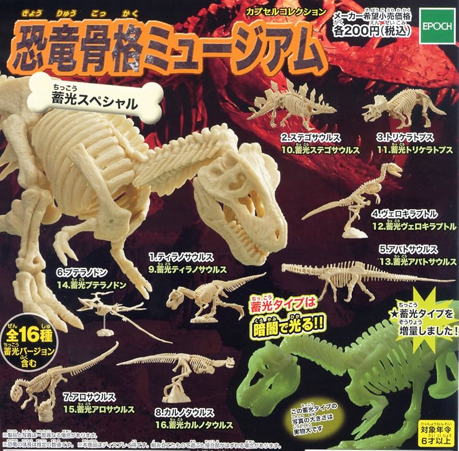 恐竜骨格フィギュア 恐竜骨格フィギュア12体入り 室内あそび 一般玩具 : 美容コスメ